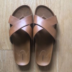 The Robin birdies in Camel